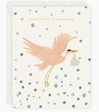 Load image into Gallery viewer, Seedlings - Greeting Cards