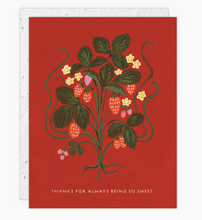 Load image into Gallery viewer, Seedlings - Greeting Cards