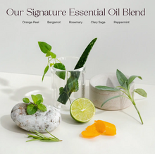 Load image into Gallery viewer, Everist - Exfoliating Body Wash Concentrate