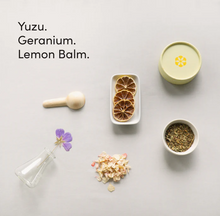 Load image into Gallery viewer, Aestival Bio Enzyme Dishwasher Detergent by Dirty Labs