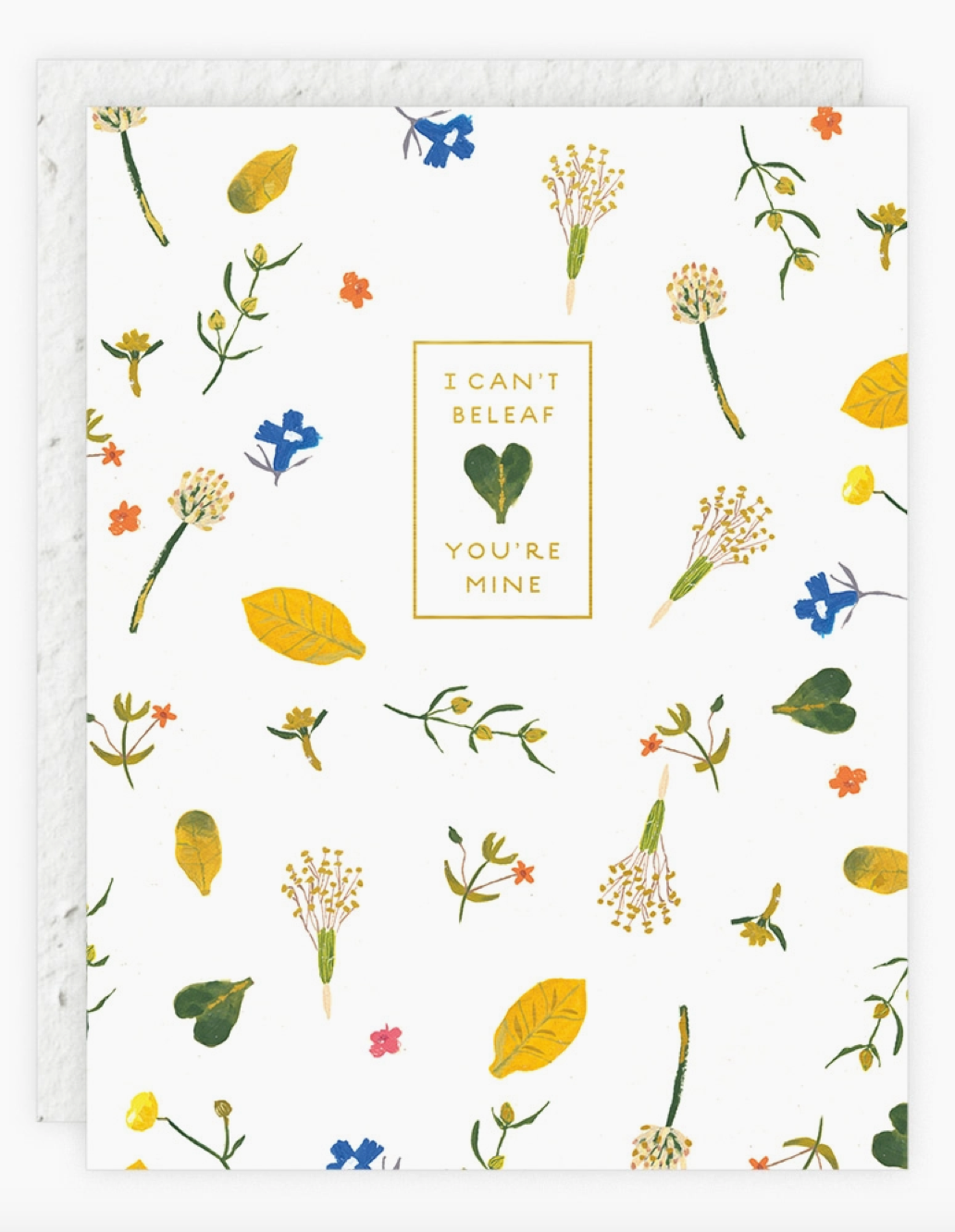 Seedlings - Greeting Cards