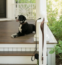 Load image into Gallery viewer, Leather &amp; Canvas Dog Leashes by Steele
